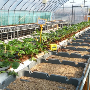 설치사례_시설원예