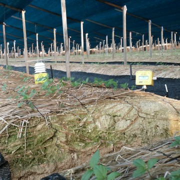 설치사례_노지재배