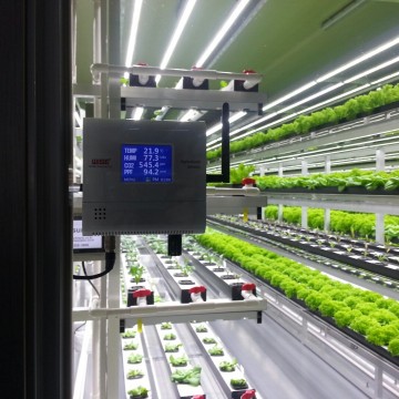 설치사례_시설원예