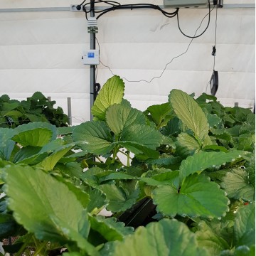 설치사례_시설원예