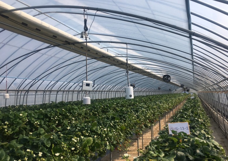 설치사례_시설원예