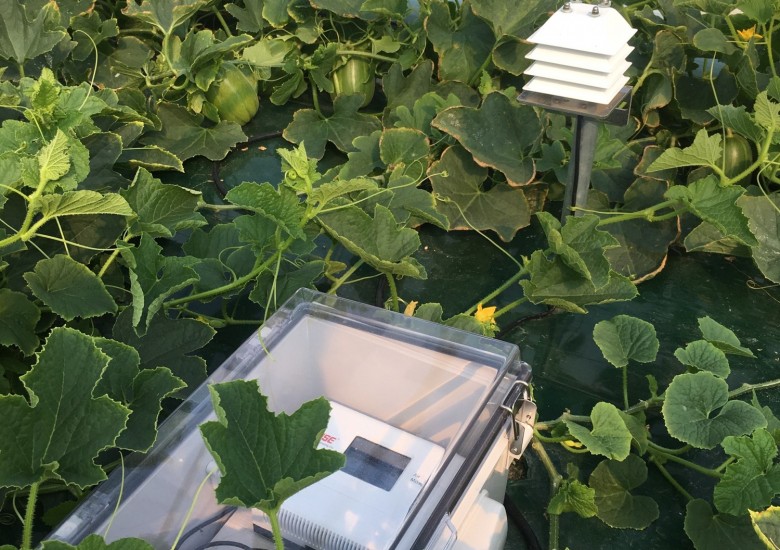 설치사례_시설원예