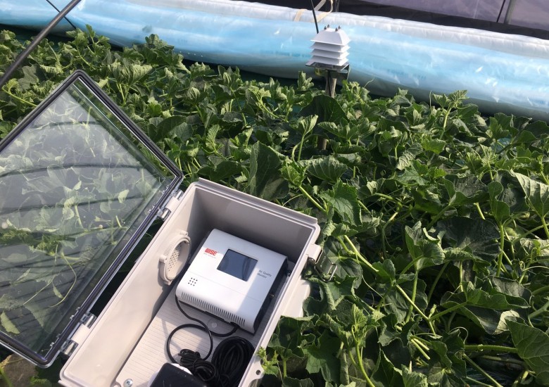 설치사례_시설원예